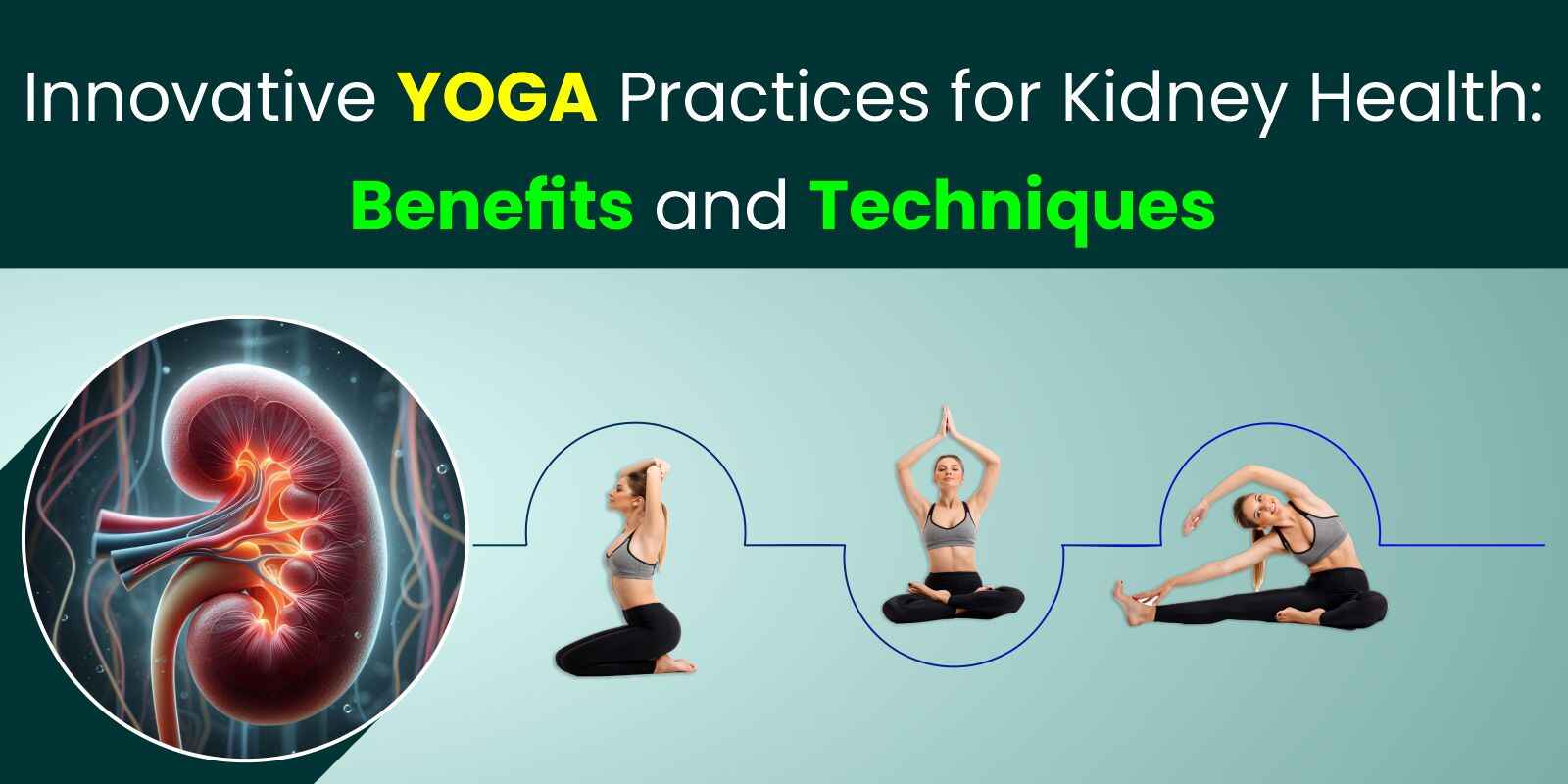 Innovative Yoga Practices for Kidney Health: Benefits and Techniques